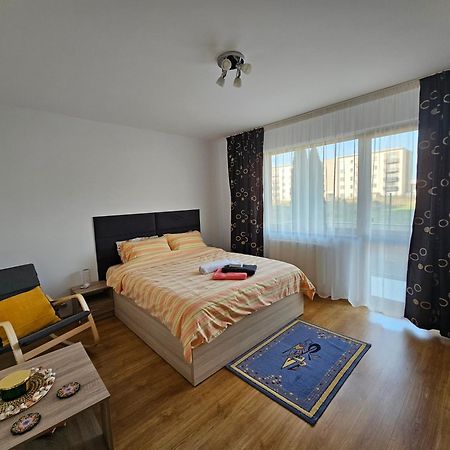 Elena'S Studio Brasov Coresi Kültér fotó
