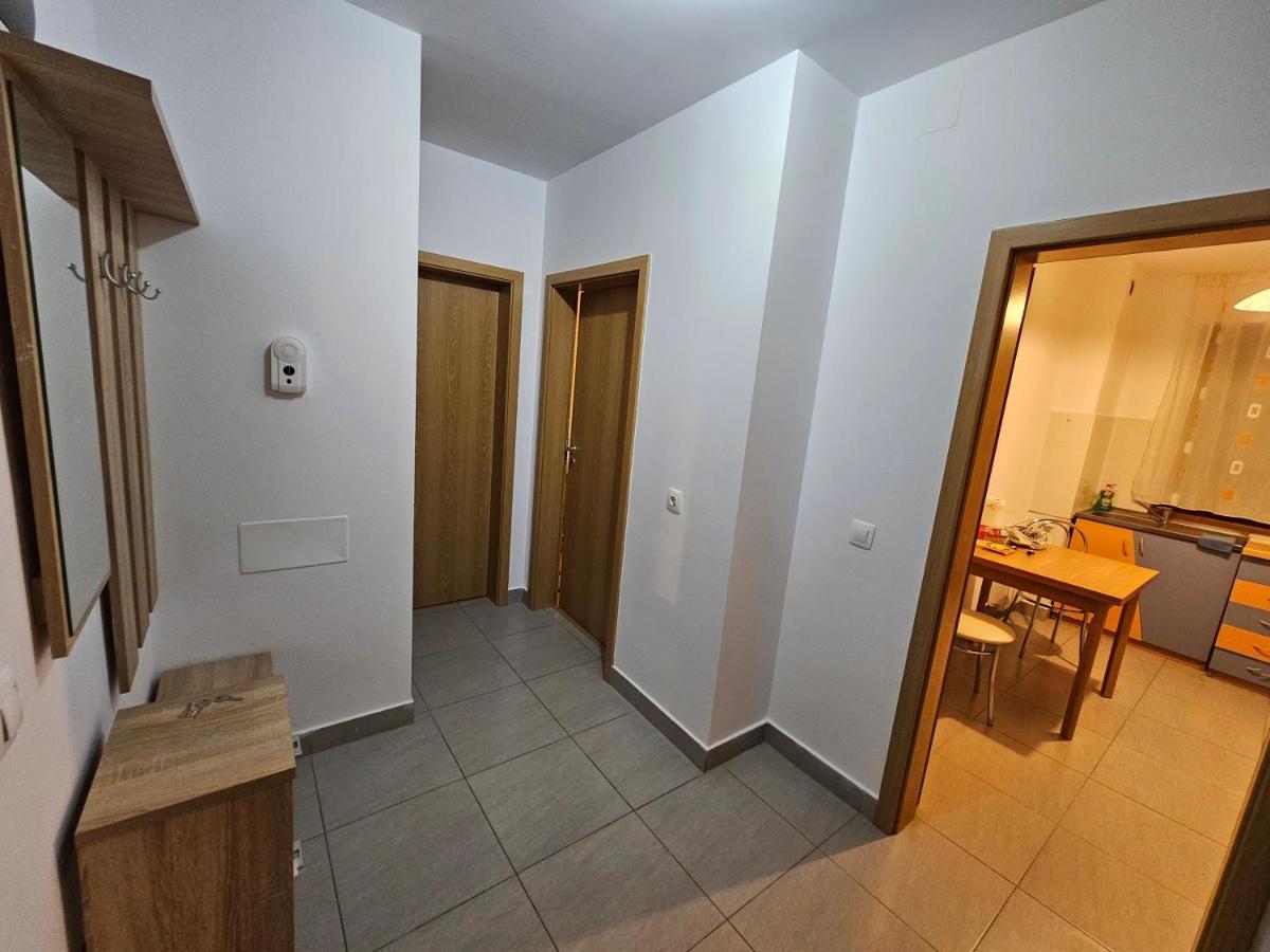 Elena'S Studio Brasov Coresi Kültér fotó